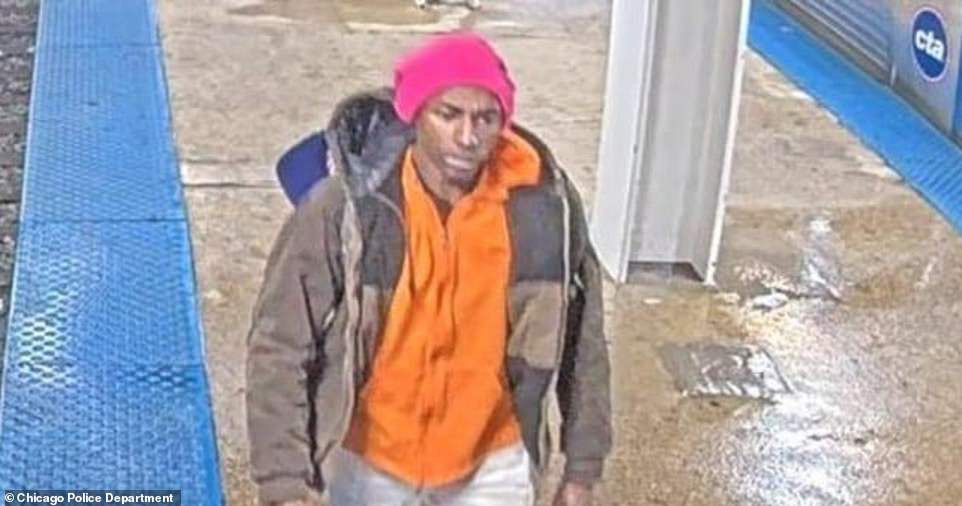 Woman stabbed at Chicago station in attack similar to Iryna's attack