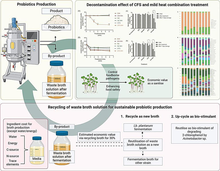 Researchers upcycle fermentation waste into vegetable sanitizer