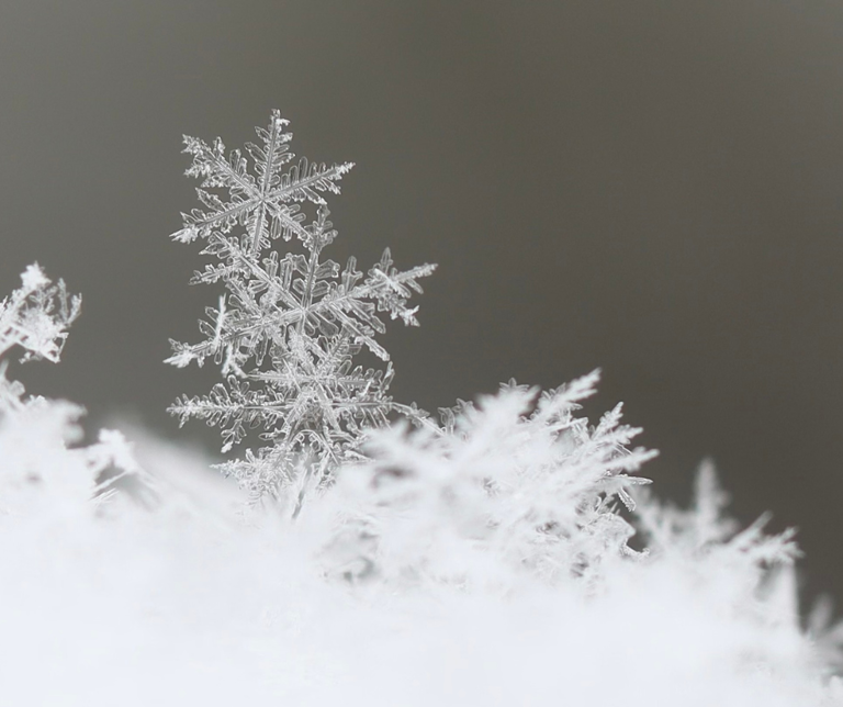 The ‘snowflake rule’ is the easy decluttering technique you need to ...