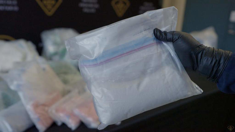OPP make largest fentanyl bust in its history, seize $6.5M worth of drug