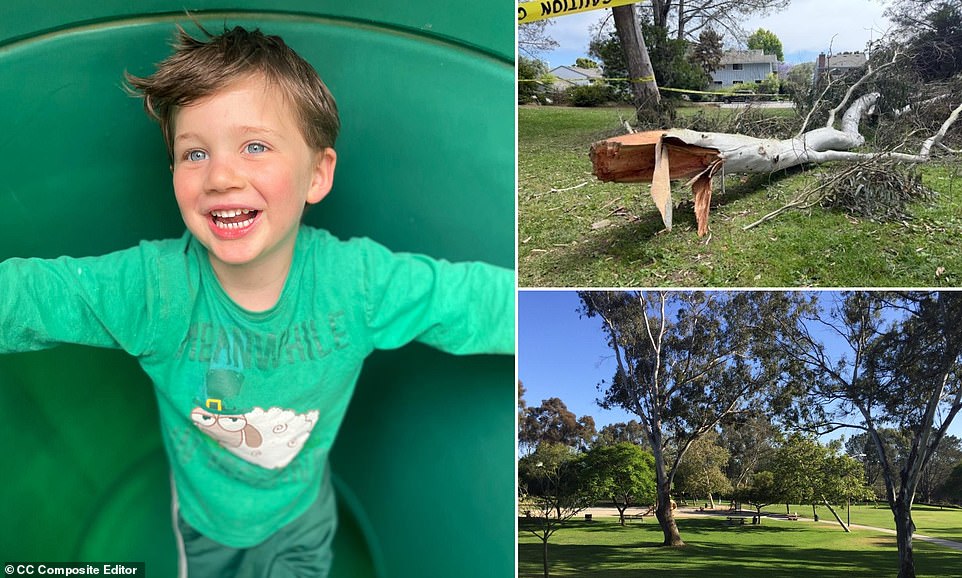 Boy, 4, is killed in horrific accident at popular park