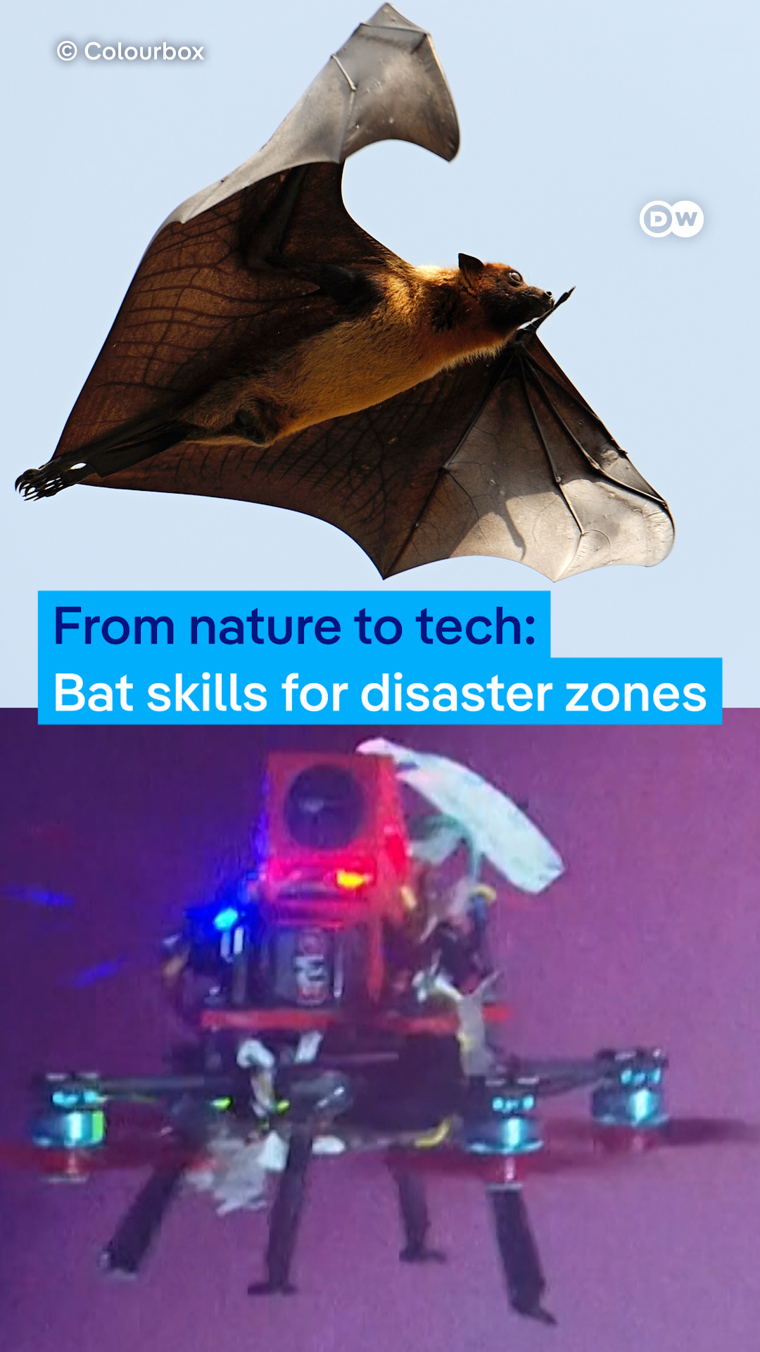 Bat Bots: The Future of Search and Rescue