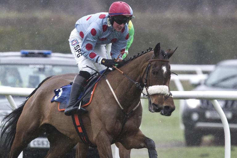 First wins for over a year for Jedburgh jockey Callum Bewley