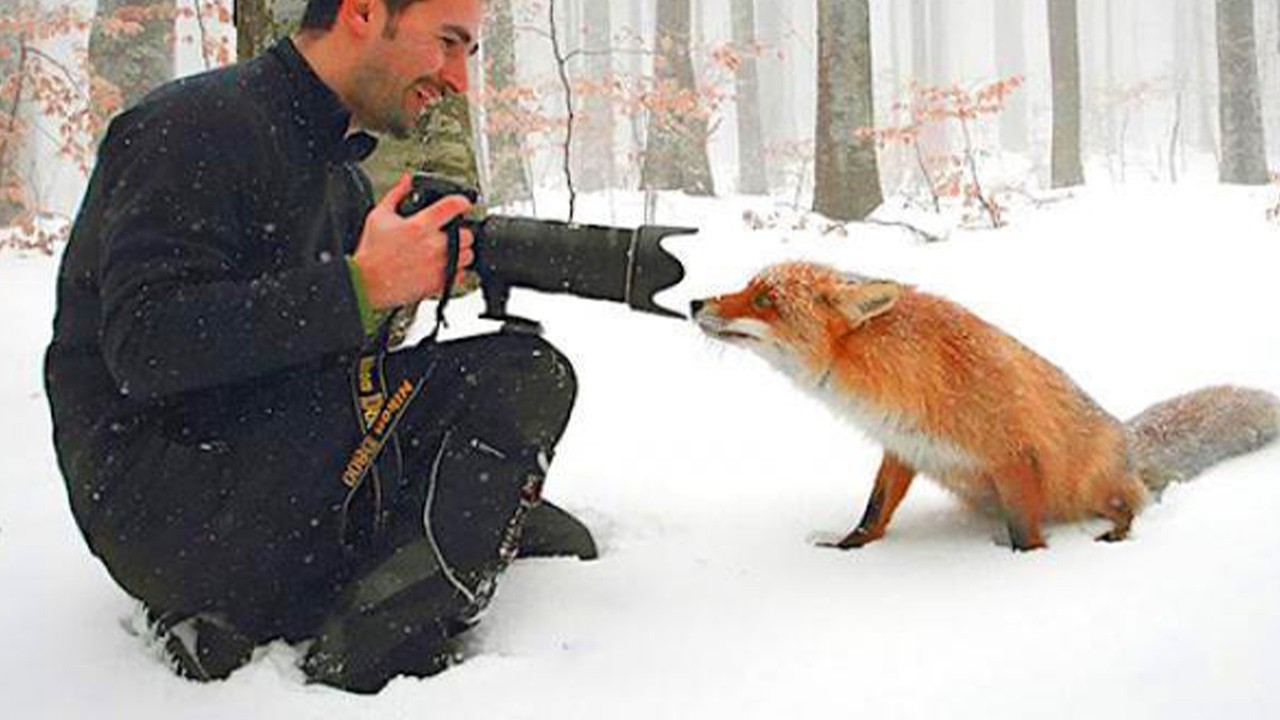 What happened when animals turned the camera on the photographer