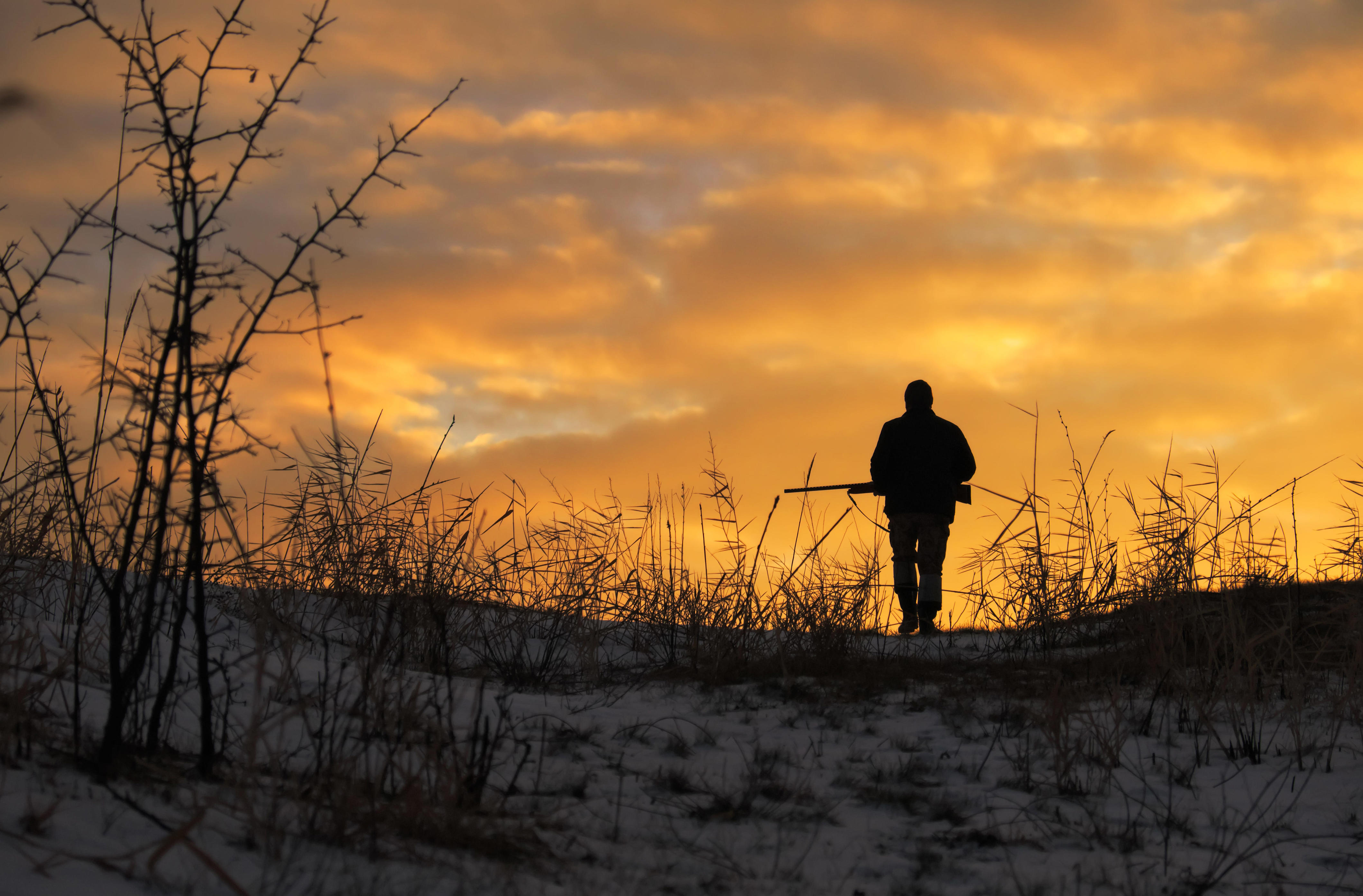 Deer hunters are being asked to play a significant role in helping find ...