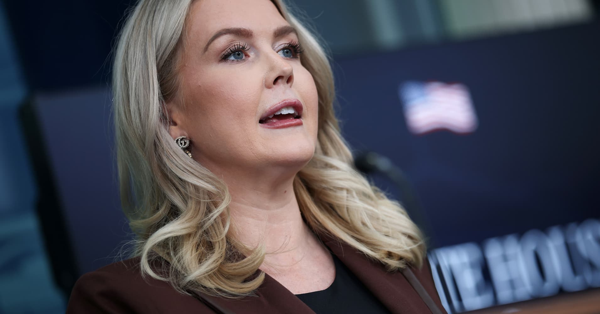 White House Press Secretary Karoline Leavitt speaks during the daily press briefing in the Brady Press Briefing Room at the White House on Nov. 12, 2025 in Washington, DC. 