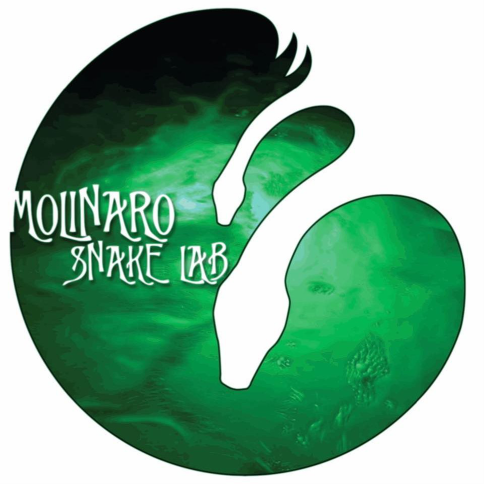 The Molinaro Snake Lab shares snake insights
