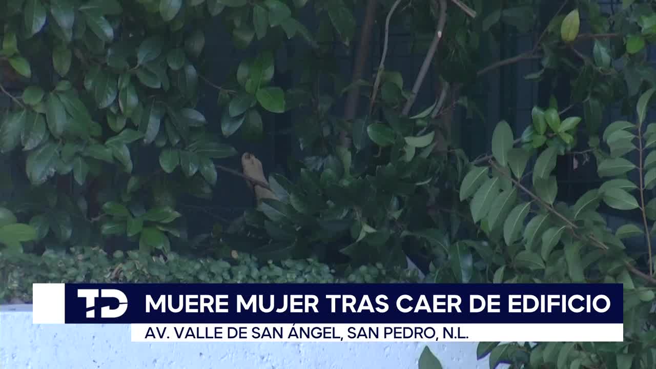 Mujer muere tras caer del séptimo piso en un club deportivo de San ...