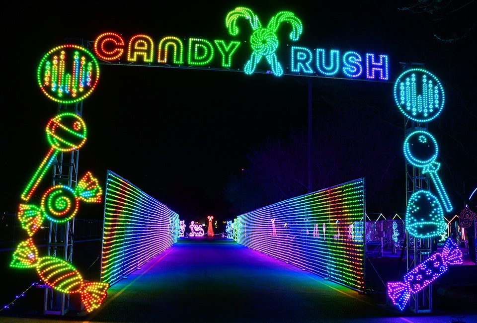 Tree Lighting Events, Georgia Festival of Trees, and More Things to Do ...