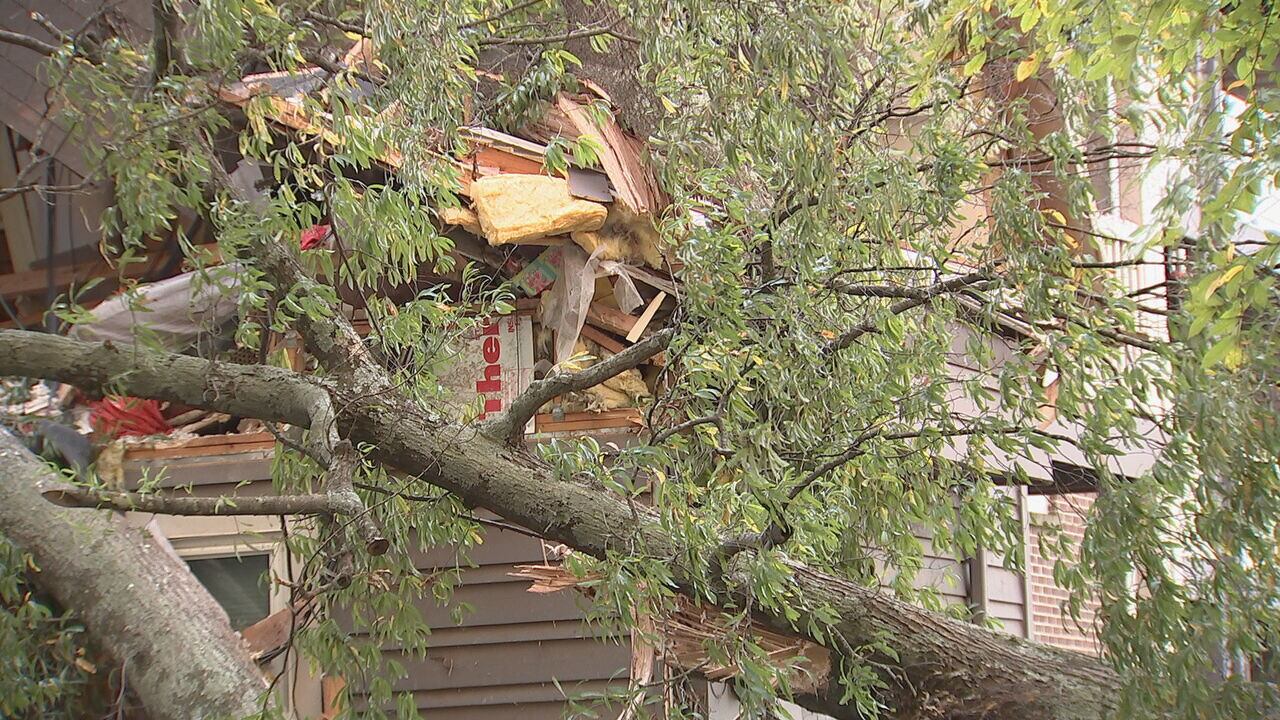 Woman recounts terrifying escape after tree crushes her apartment
