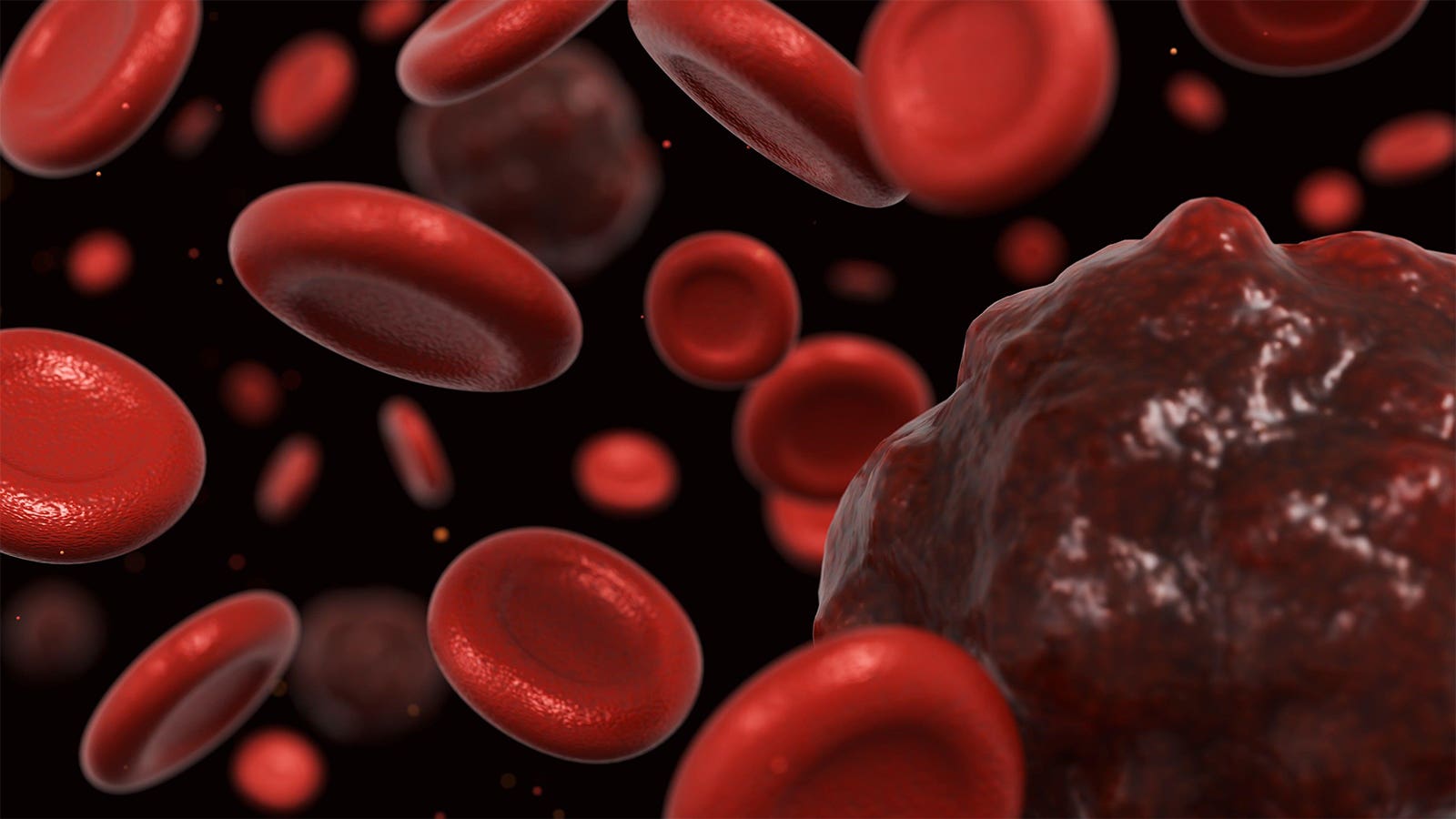 Multi-Cancer Testing Could Transform Cancer Diagnosis, Study Suggests