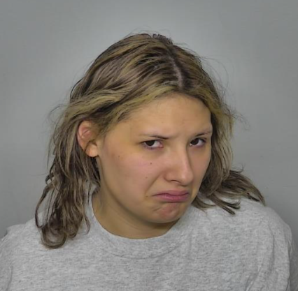 Bismarck woman pleads guilty to assaulting emergency personnel