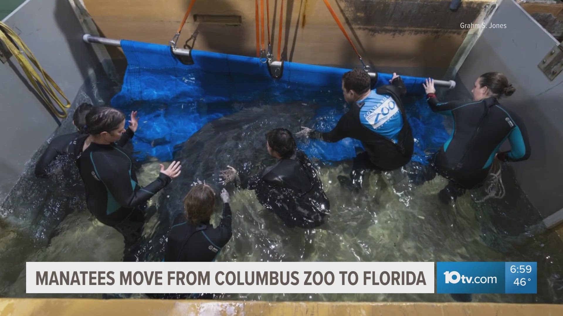 6 manatees successfully rehabilitated at Columbus Zoo, moved back to