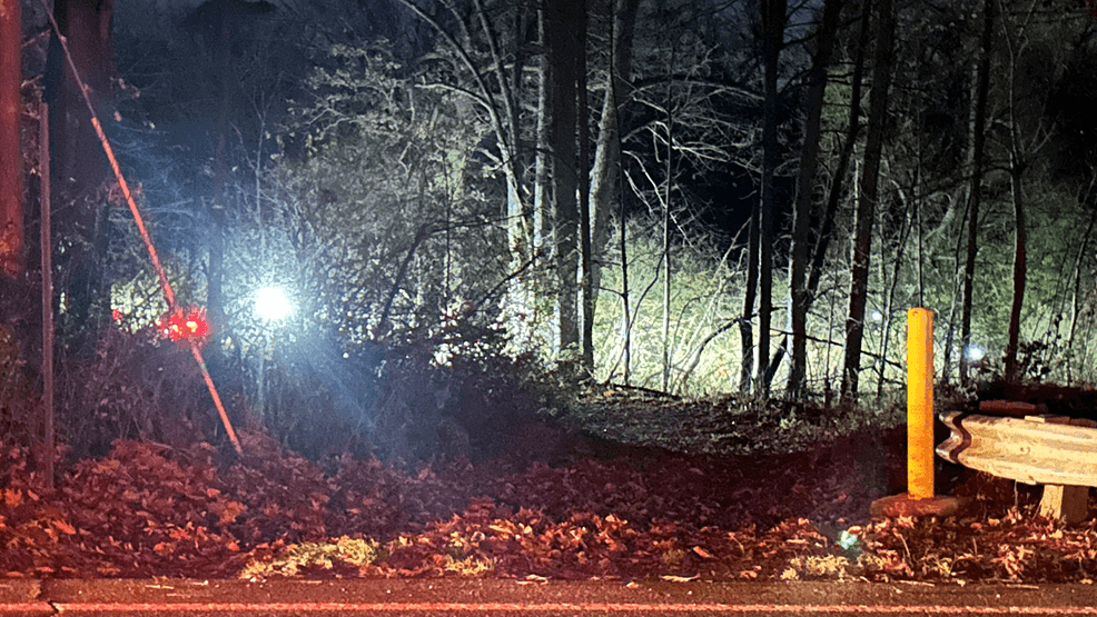 Remains found near Kalamazoo park believed to be missing 62-year-old ...