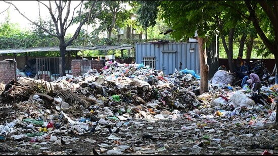 Waste spills onto Mohali roads as collection points filled to capacity