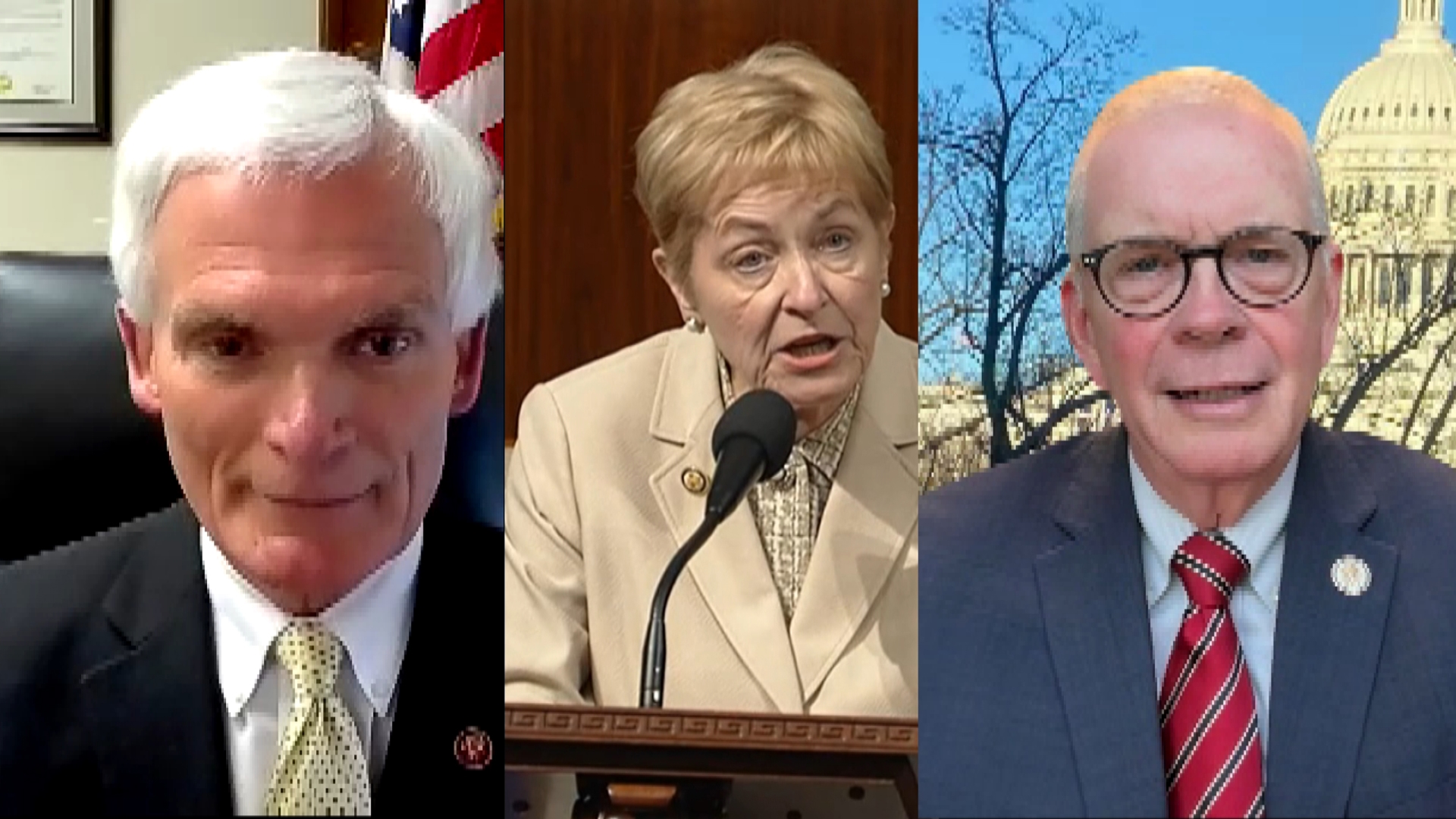 Local representatives, political expert outline future after vote is ...