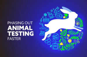 Animal Testing to Be Phased Out Faster as UK Unveils Roadmap for ...