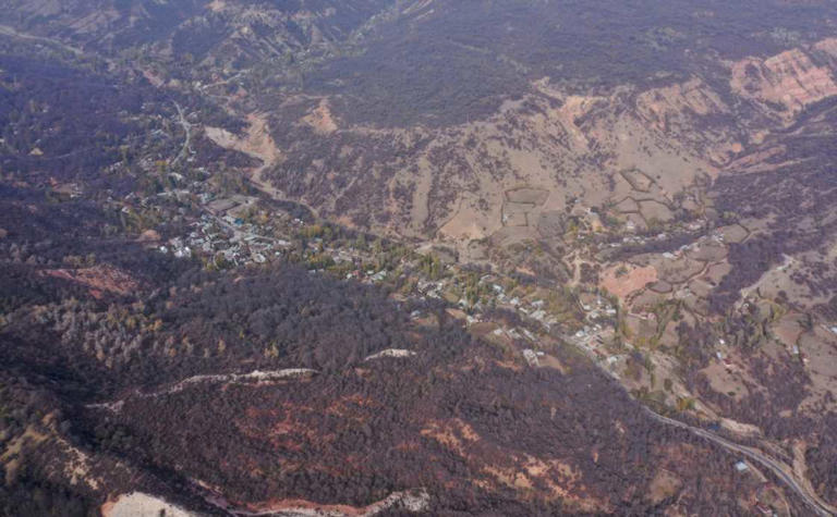 Human activity is also taking a toll on the forest. Photo: VYACHESLAV OSELEDKO / AFP Source: AFP
