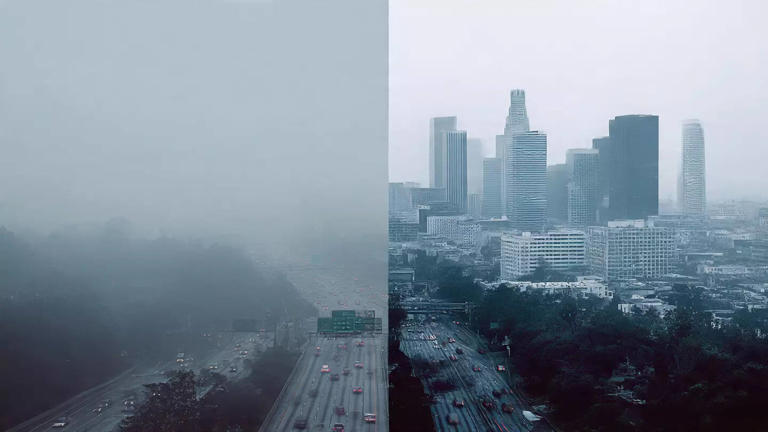 Fog vs Smog: Key Differences, Causes, And Health Risks Explained