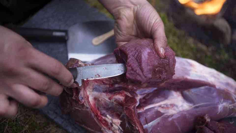 Outdoor Adventure: Meat Ice Cream from Wild Game Leg