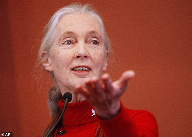 Leonardo DiCaprio pays tribute 'unstoppable' Jane Goodall as scientist ...