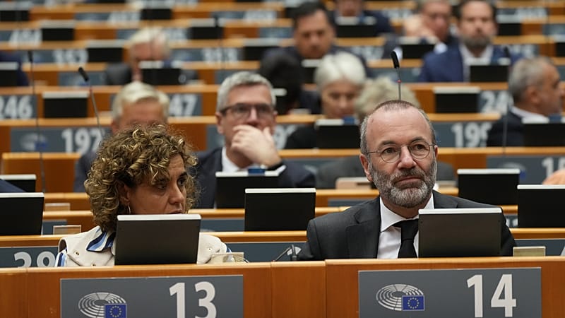 EPP teams up with far right to water down reporting requirements for ...