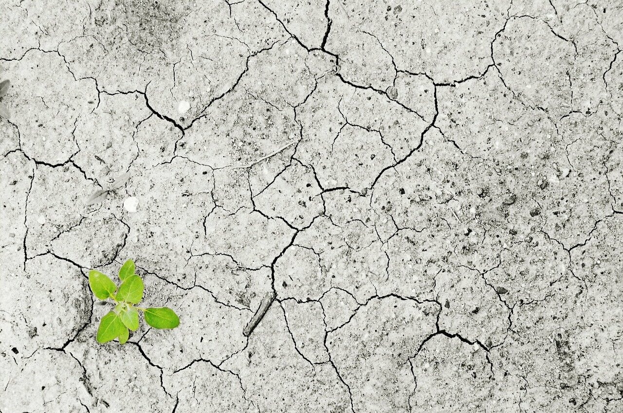 Paperwork won't prepare us for climate change: Planning might