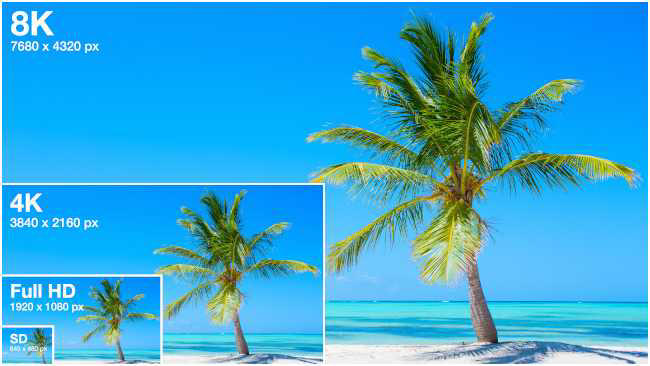 Kaspars Grinvalds/Shutterstock.com