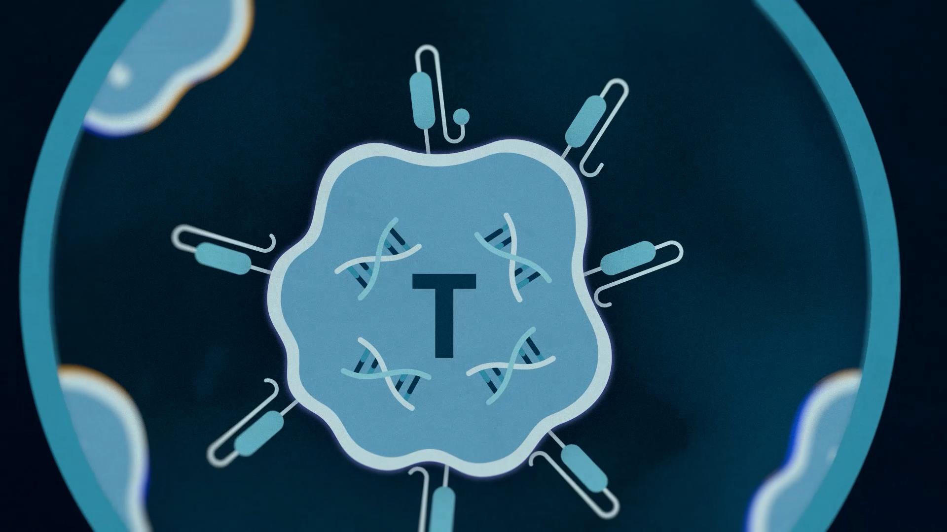 How CAR-T therapy works in autoimmune diseases