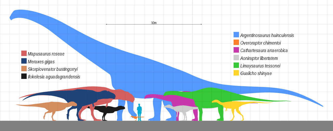 Which Dinosaurs Had the Highest Levels of Intelligence?