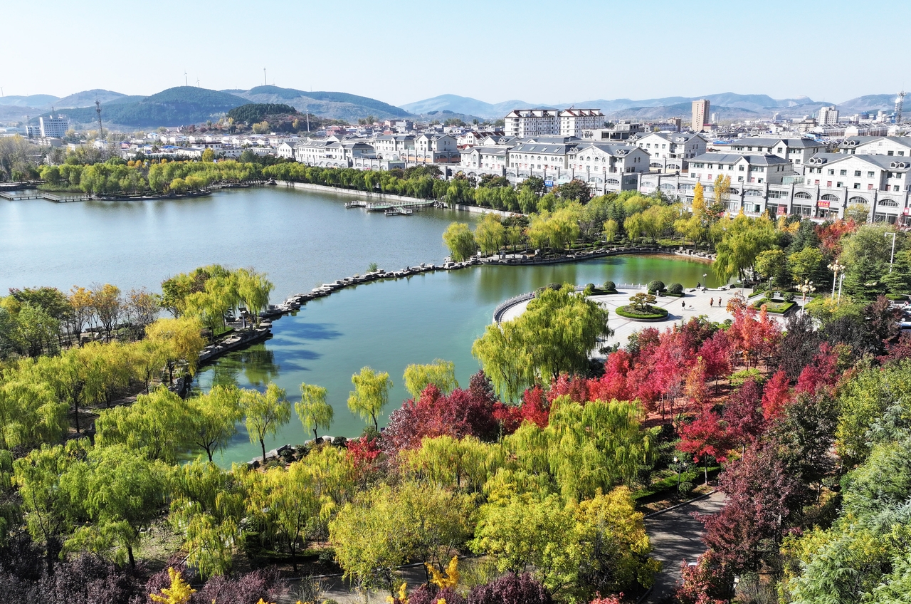 山东枣庄城区冬景美