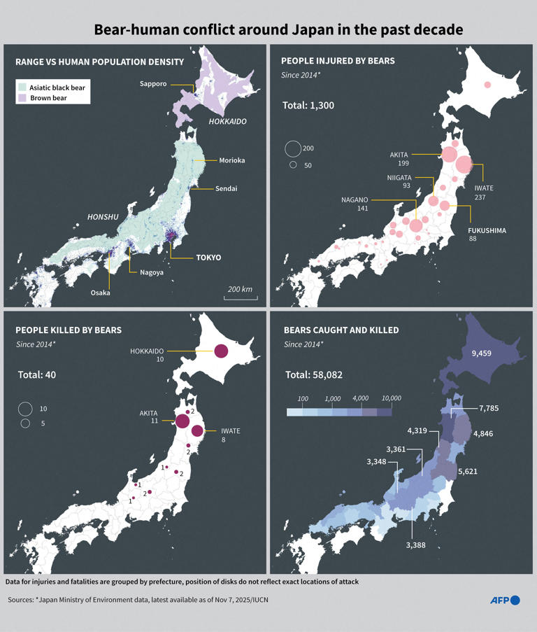 U.S. issues unusual warning to Americans in Japan: Beware of bear attacks