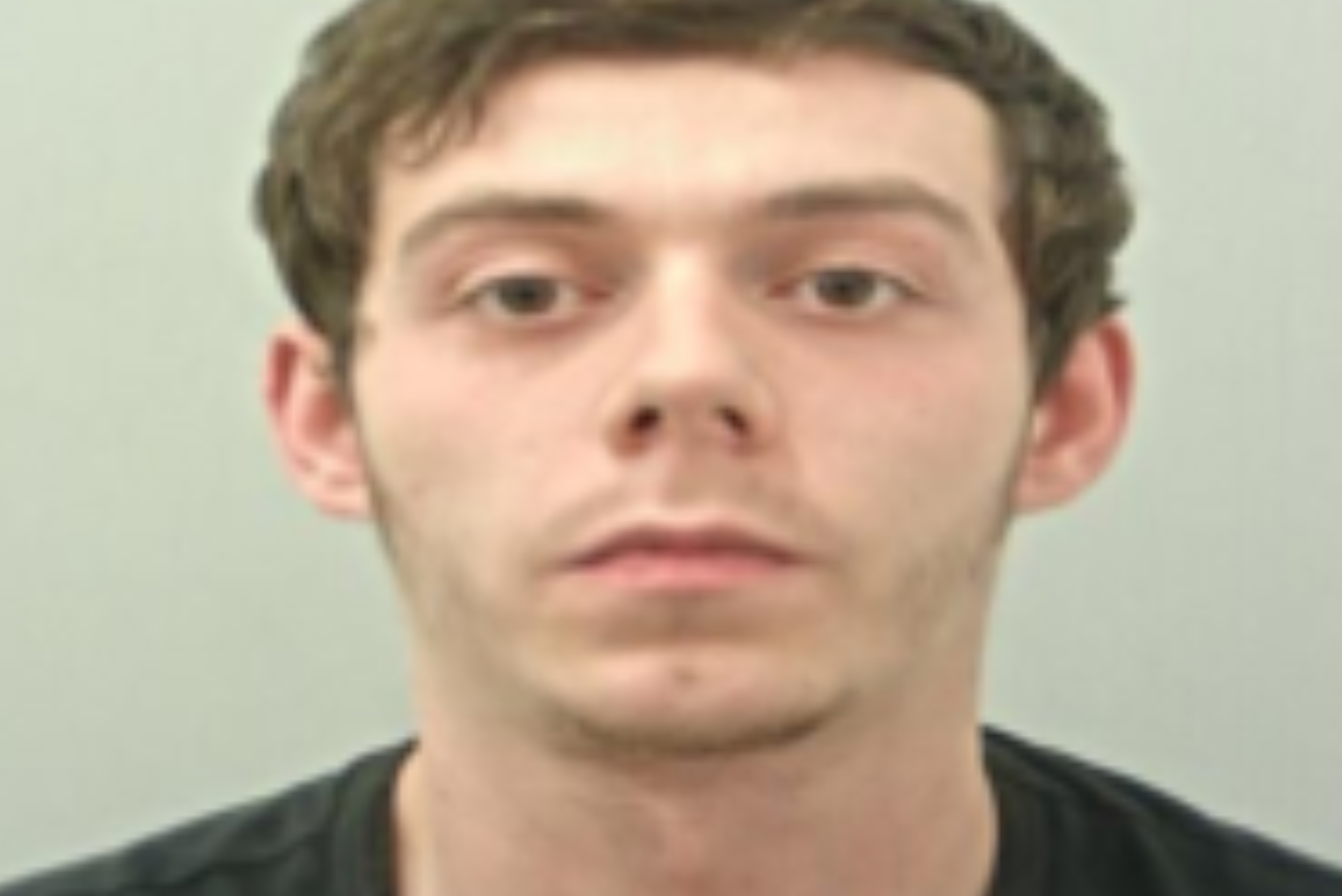 Man jailed after police uncover more than 100-plant cannabis farm in ...
