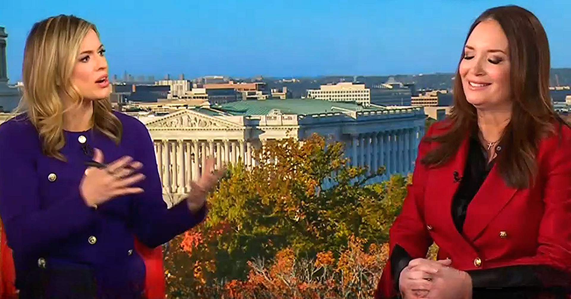 CNN’s Pam Brown Absolutely Pounds Trump Honcho Over SNAP-Food Stamps In ...