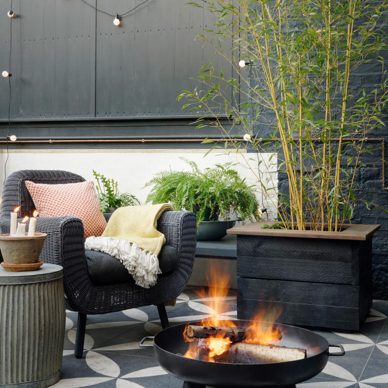 5 invasive trees you should never plant in your garden, no matter how ...