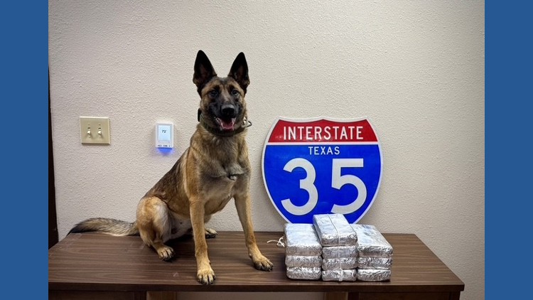Texas DPS seizes 24 pounds of fentanyl during traffic stop in McLennan ...