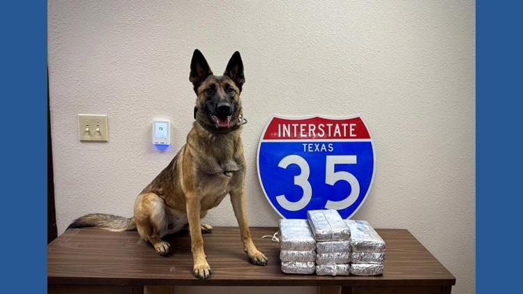 Texas DPS seizes 24 pounds of fentanyl during traffic stop in McLennan ...