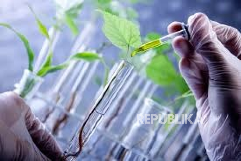 EWINDO, PERIPI, dan IPB Hadirkan Indonesian Breeder Award 2025