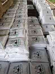 Pupuk UKT: Solusi Hijau Bantu Mahasiswa Kurang Dana