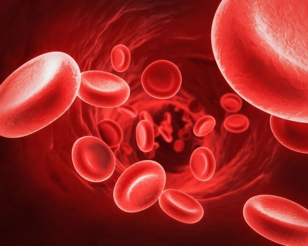 Hemoglobina: o que é, valores (e porque está alta ou baixa)