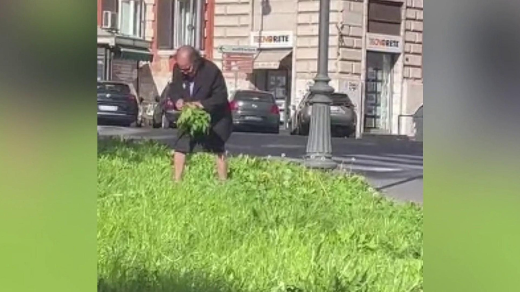 Roma, la signora che raccoglie la cicoria in mezzo al traffico: il ...