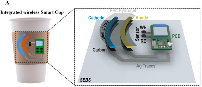 Sweat-powered sensor converts any cup into a portable health monitoring ...
