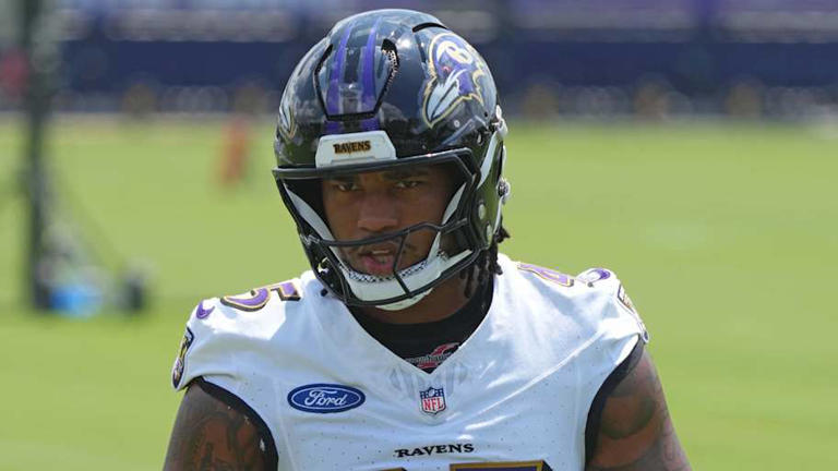Ravens' Best and Most Disappointing Rookies Revealed