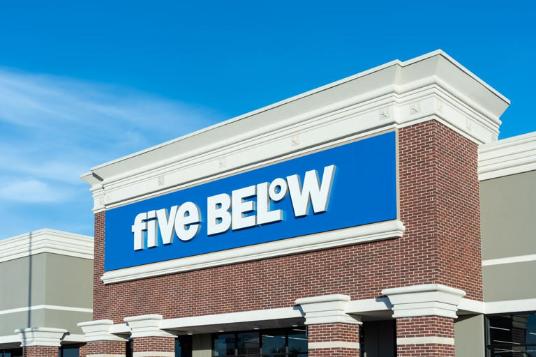 Five Below’s new ‘soft and lightweight’ accent rugs are giving Pottery ...
