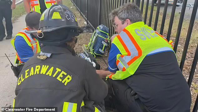 Brave moment Good Samaritan drags helpless Porsche driver from burning car