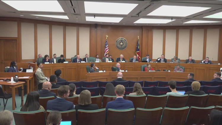 Texas House and Senate Committee tasked with looking at free speech ...