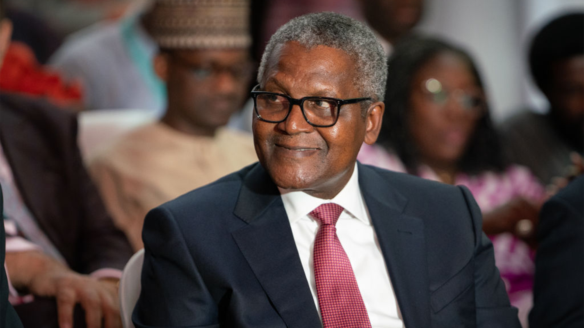 ALIKO MOHAMMAD DANGOTE THE BIOGRAPHY OF THE RICHEST BLACK PERSON IN THE WORLD PDF PDF visual data 8