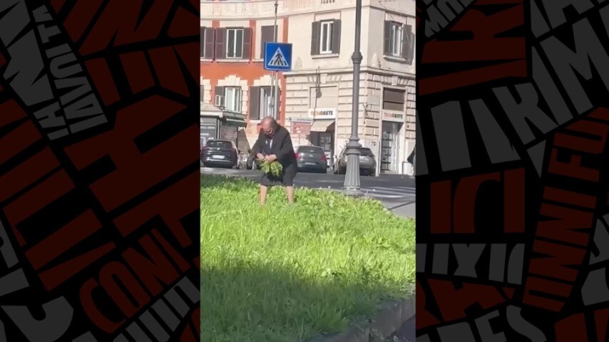 Il video dell'anziana che raccoglie la cicoria in un'aiuola di Roma ...