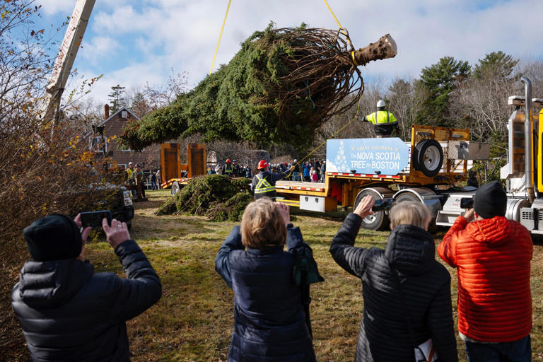 In Canada, Wu helps chop down Boston’s Christmas tree
