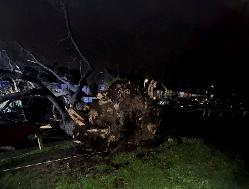 Dad ‘lucky to be alive’ after 30-foot tree fell on van he was driving